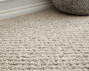 Best carpet cleaning