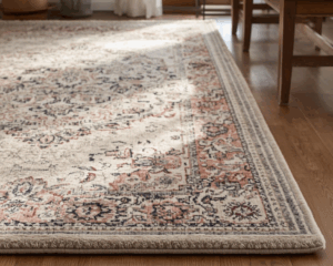 Best Area Rug cleaning