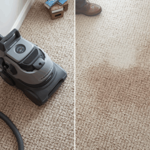 DIY carpet cleaner unable to remove deep odors from carpet padding